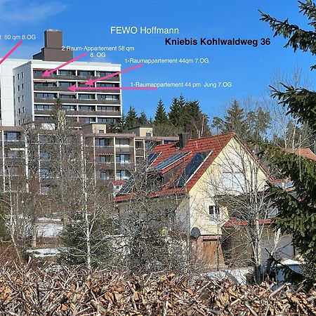 Ein-Raum Appartement Jung Freudenstadt-Kniebis Buitenkant foto