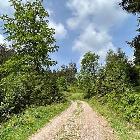 Ein-Raum Appartement Jung Freudenstadt-Kniebis Buitenkant foto