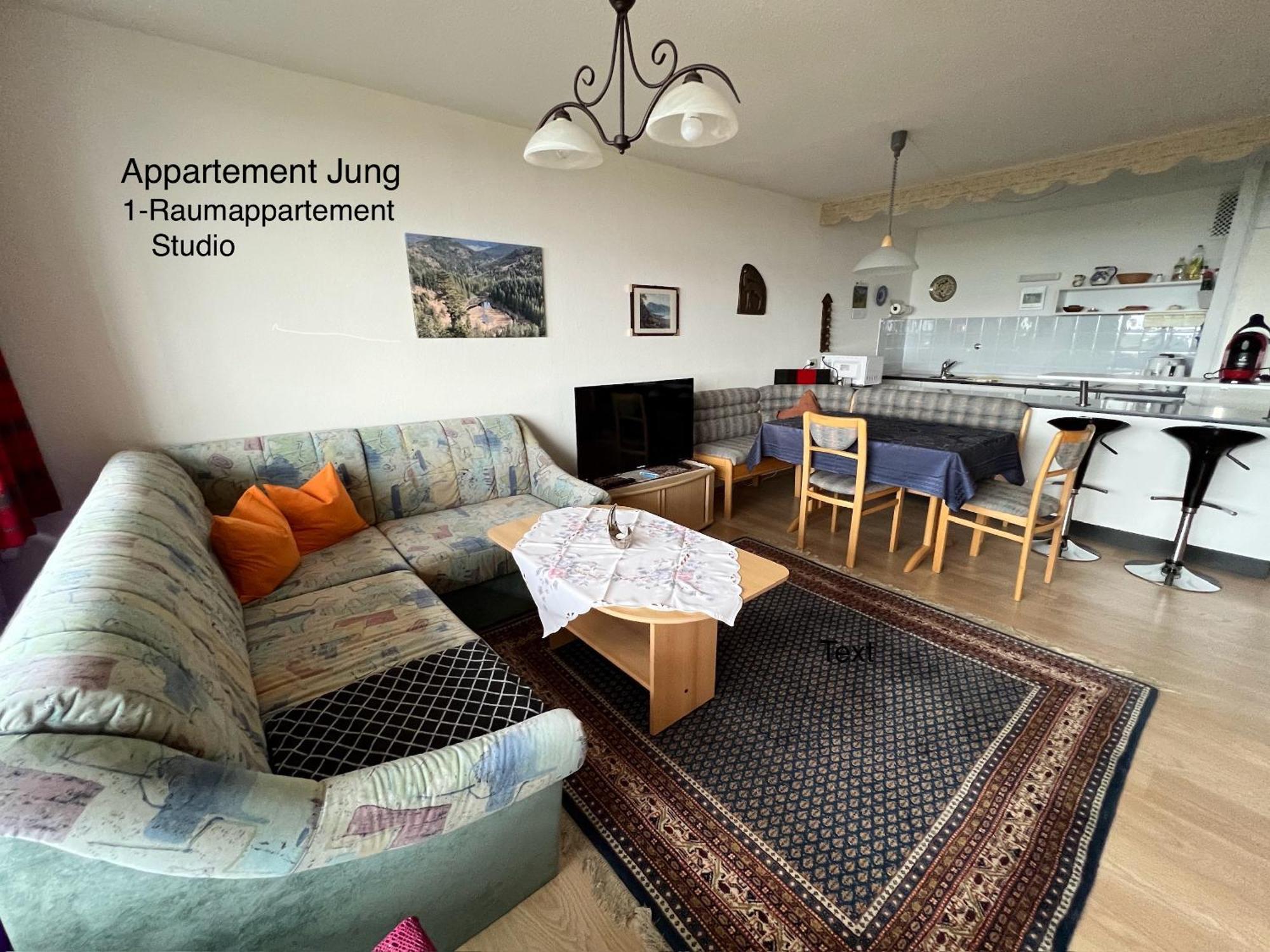 Ein-Raum Appartement Jung Freudenstadt-Kniebis Buitenkant foto